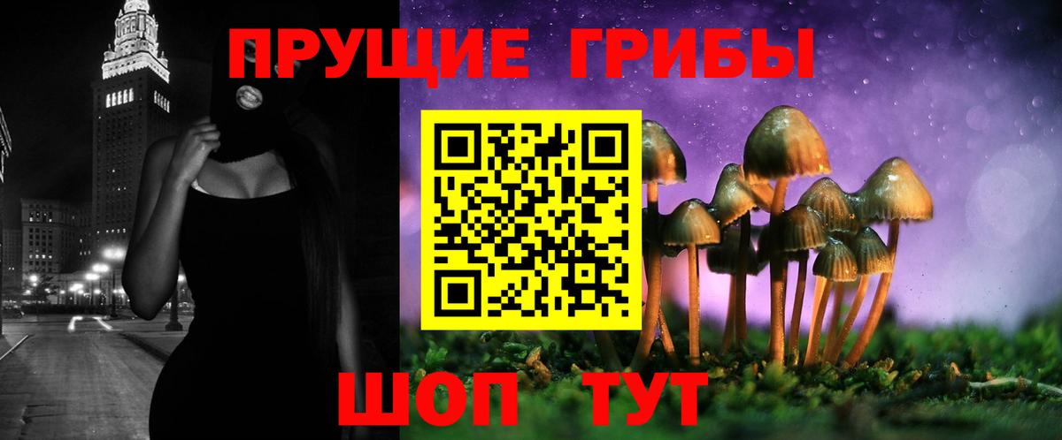 Псилоцибиновые грибы прущие грибы Нижний Новгород